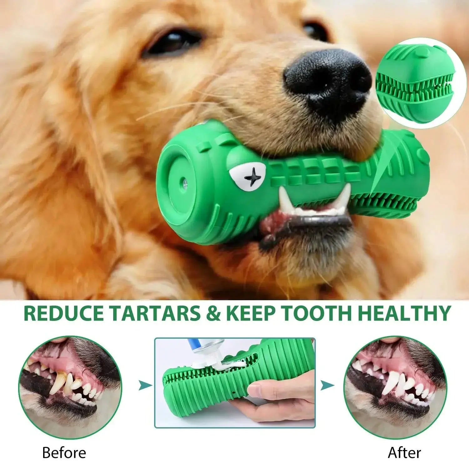 Pet Dog Chew Toys Rubber Chew Toy Aggressive Chewers Dog Toothbrush Doggy Puppy Dental Care For Dog Pet Accessories WLP Company