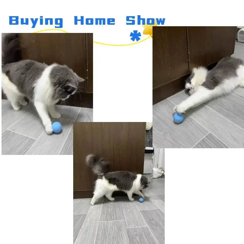 Cat Interactive Ball Smart Cat Toys for Pet Indoor WLP Company
