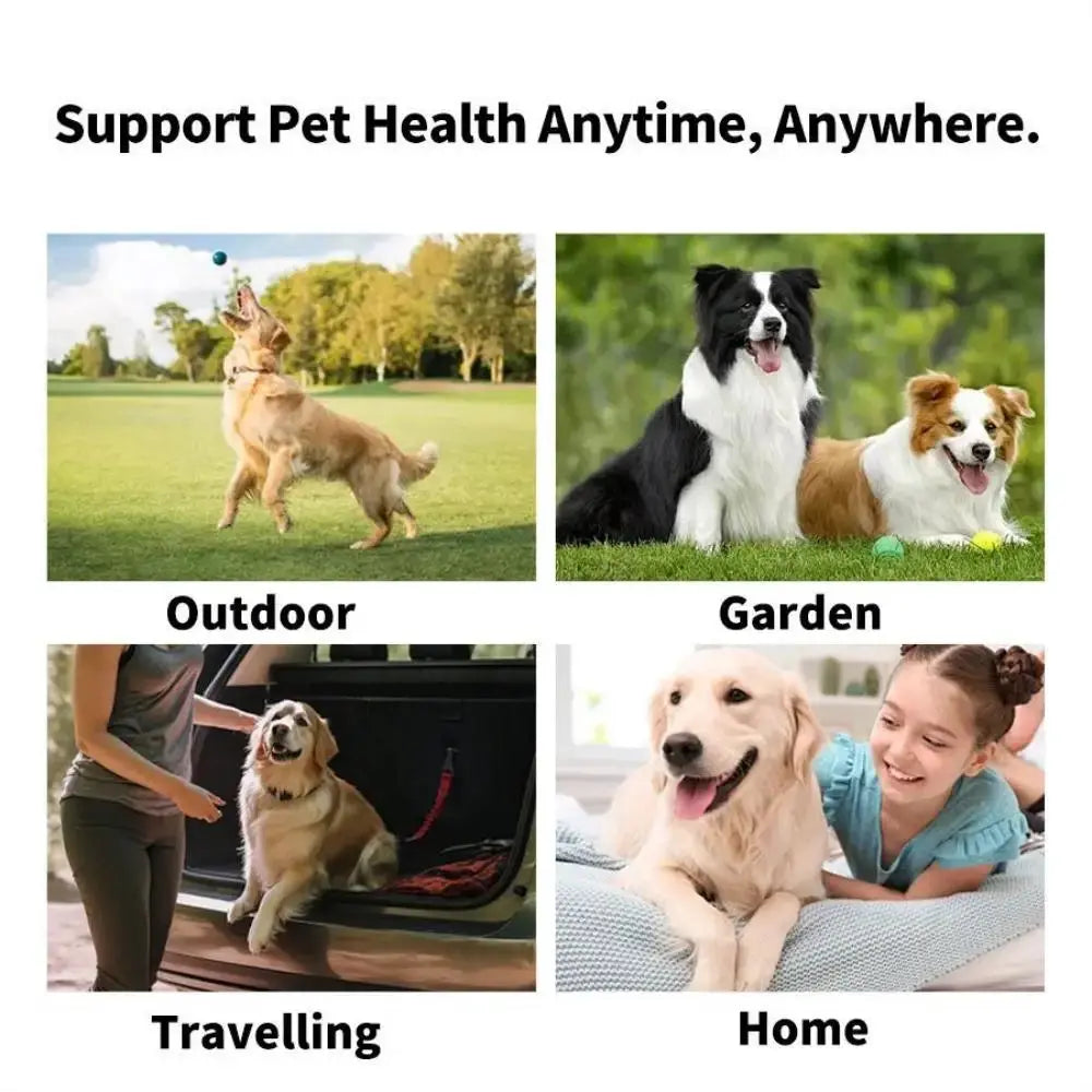 100pcs Pet Wipes for Cats Dogs Tearmark Wet Wipes Cats and Dogs Universal No Irritation Eye Cleaning Wipes Pet Supplies WLP Company
