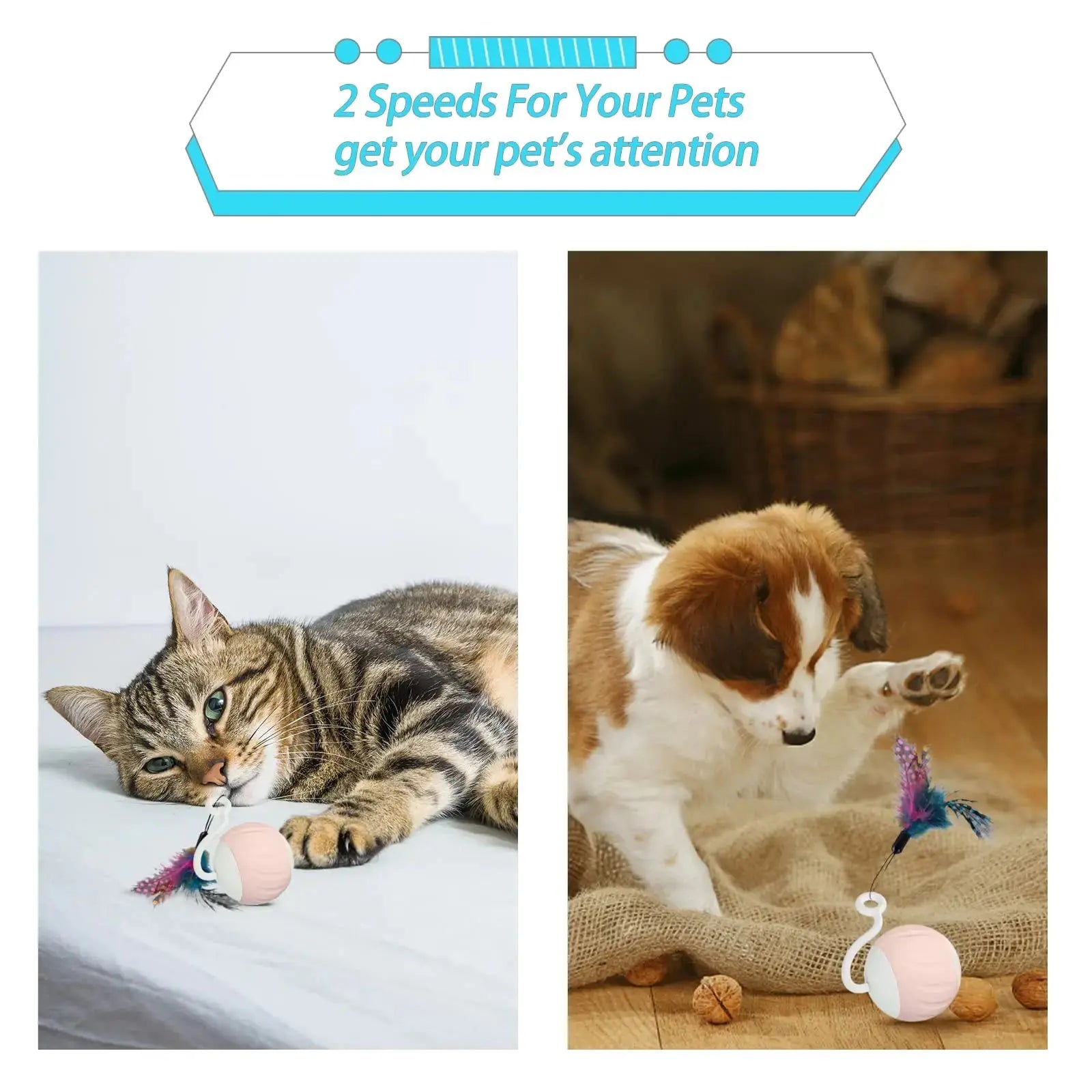 Cat Toys, Turbo Tail Popper Cat Toy 2-Speed Interactive Turbo Tail Mouse Cat Ball Toy Touch Control and Sound Control Smart Star WLP Company