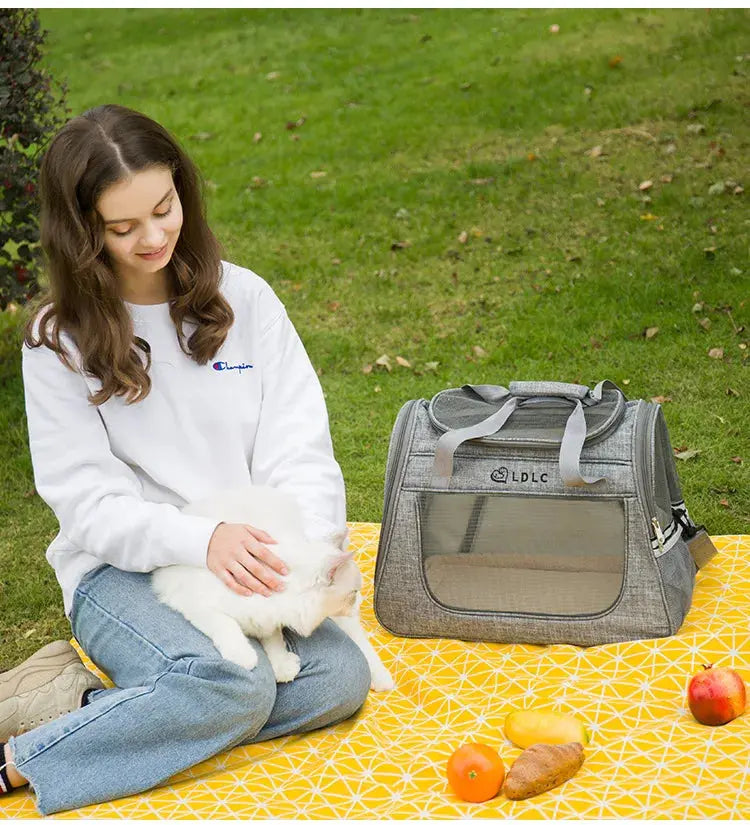 Portable Cat Bag Car-mounted Large Side Window Can Be Equipped with Trolley Pet Bag Breathable Travel Shoulder Folding Cat Bag WLP Company