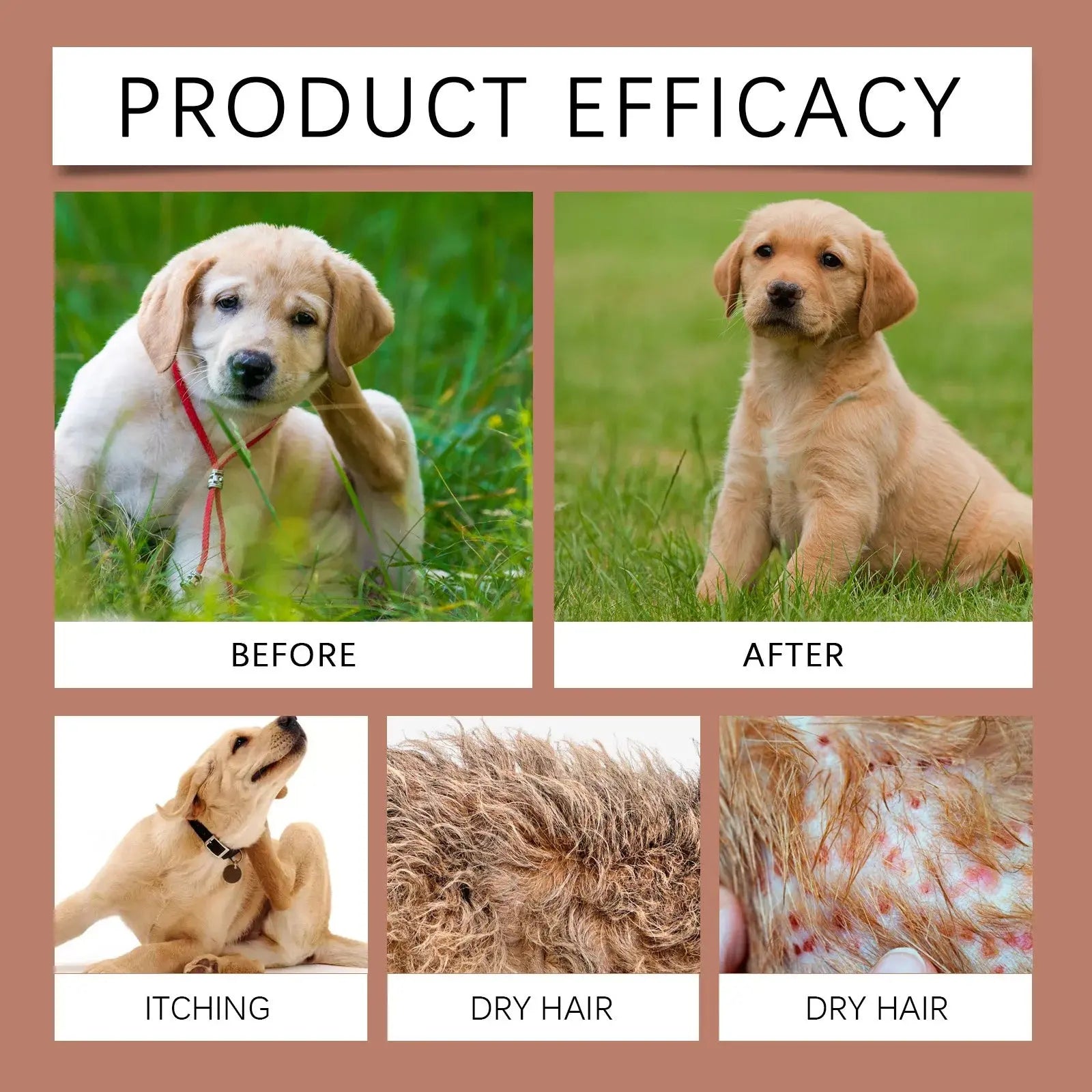 Dog Shampoo Conditioner Moisturizing for Sensitive Skin PH Balanced Anti Itching Flea Killer Dirt Mite Removal Pet Cleaning Foam WLP Company