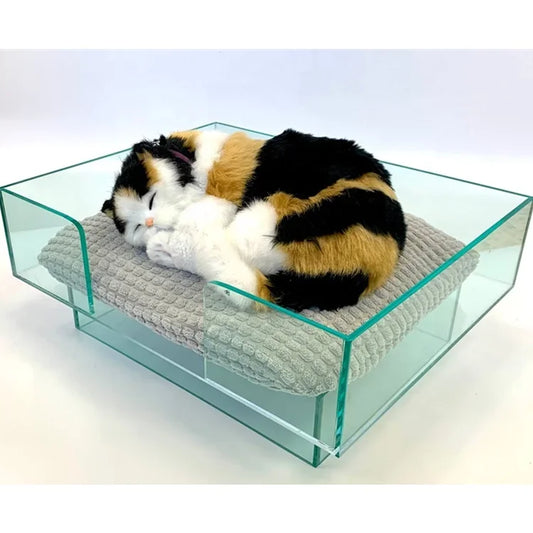 Luxury Chihuahua Cushion - BOSN Acrylic Pet Bed Modern Design