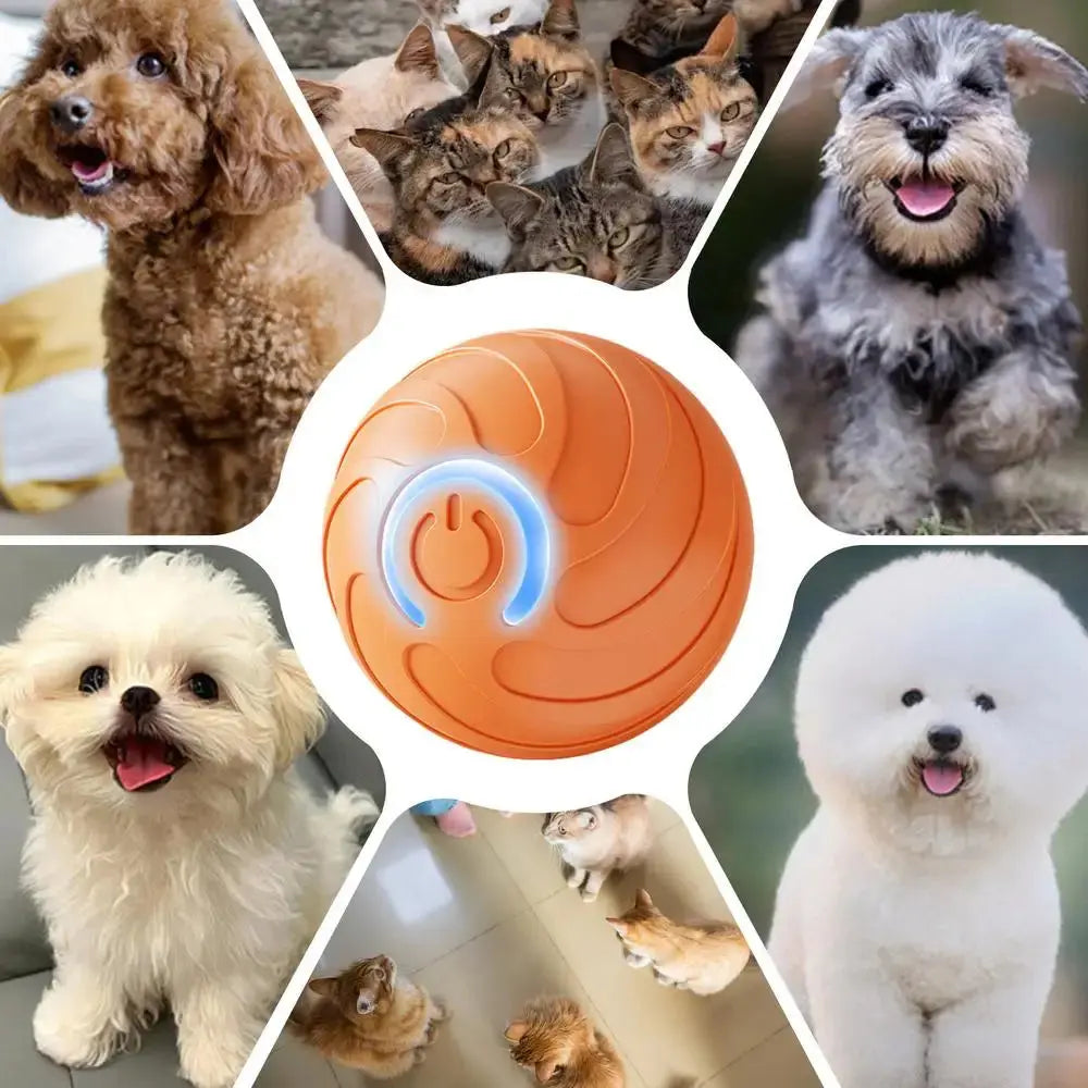 1PC Smart Dog Toy Ball Electronic Interactive Pet Toy Moving Ball USB Automatic Moving Bouncing For Puppy Kitten Birthday Gift WLP Company