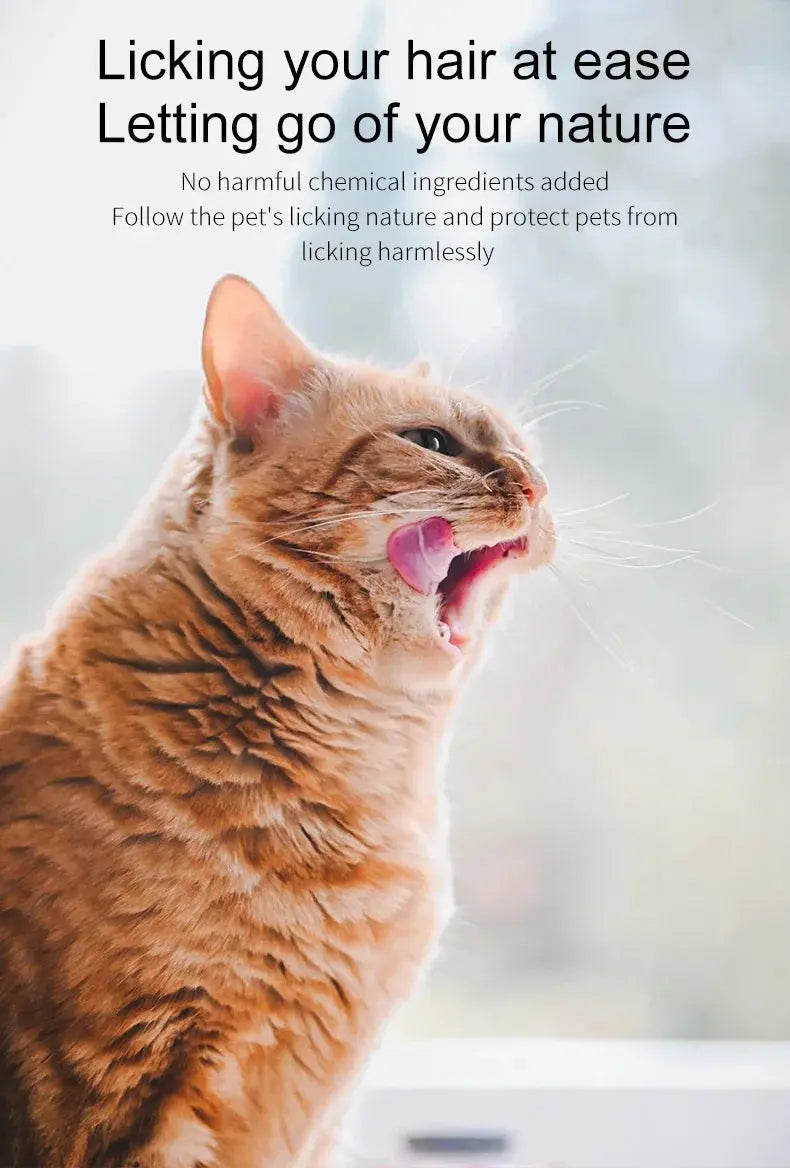 pet shampoo 200ML Pet Dry Cleaning Foam Without Rins Dog Cat Puppy Shower Gel Supp Shampoo Deodorant Sterilization Leave Scent Pet Supplie WLP Company