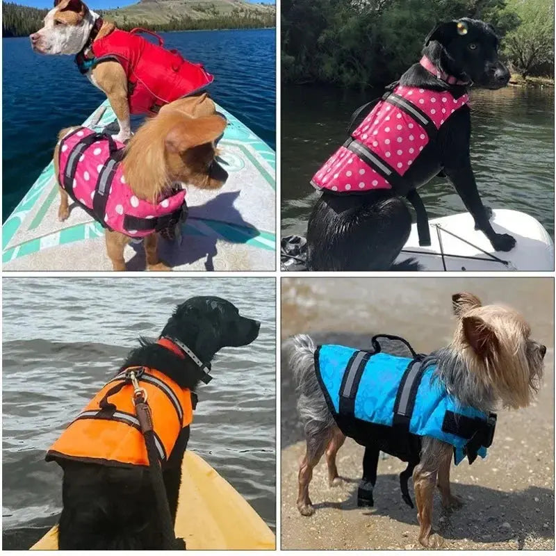 Dog Swimming Suits WLP Company