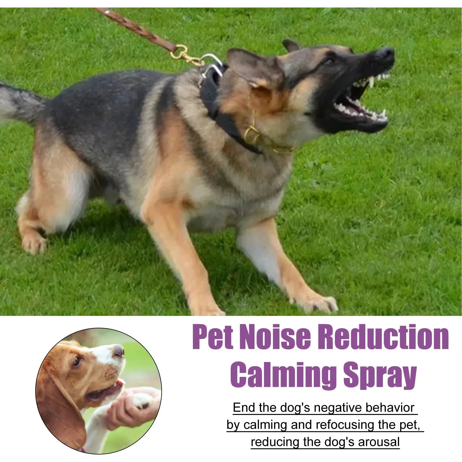 Pets Calming Spray Prevent Howling Relieve Stress Spray Manage Emotions Scratching Fighting Prevention Cat Anti-anxiety Liquid WLP Company