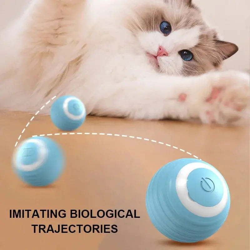 Cat Interactive Ball Smart Cat Toys for Pet Indoor WLP Company