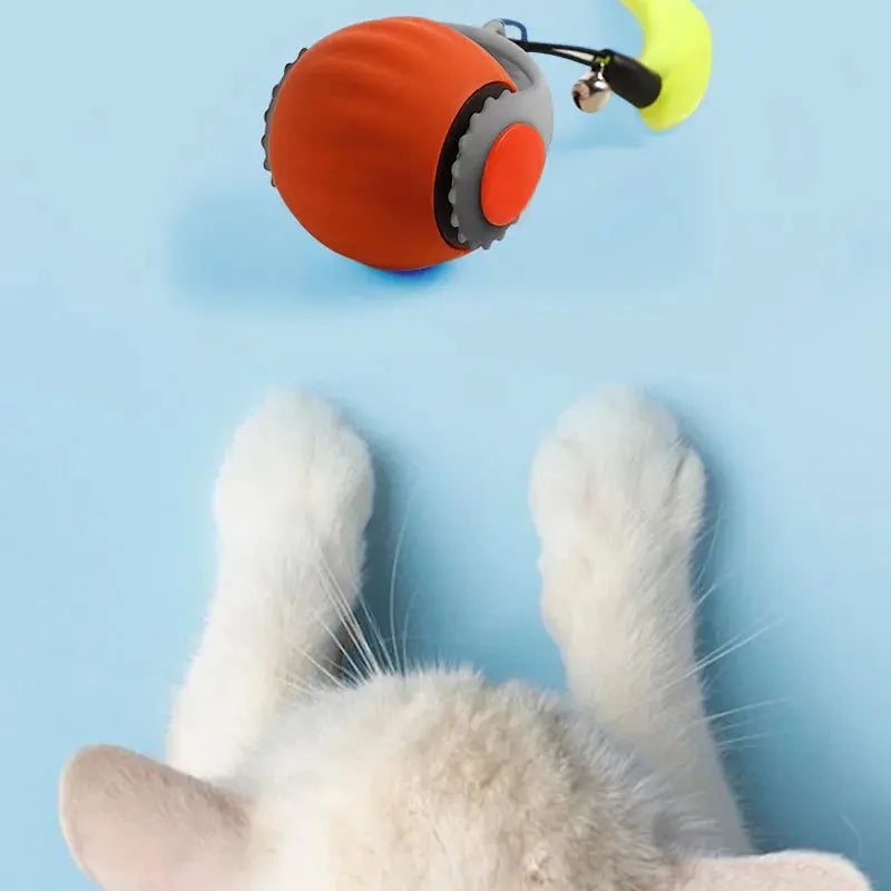 Hot pet smart cat ball cat toy ball electric cat toy self-exciting boredom ball safe bite-resistant pet toy Wholesale WLP Company