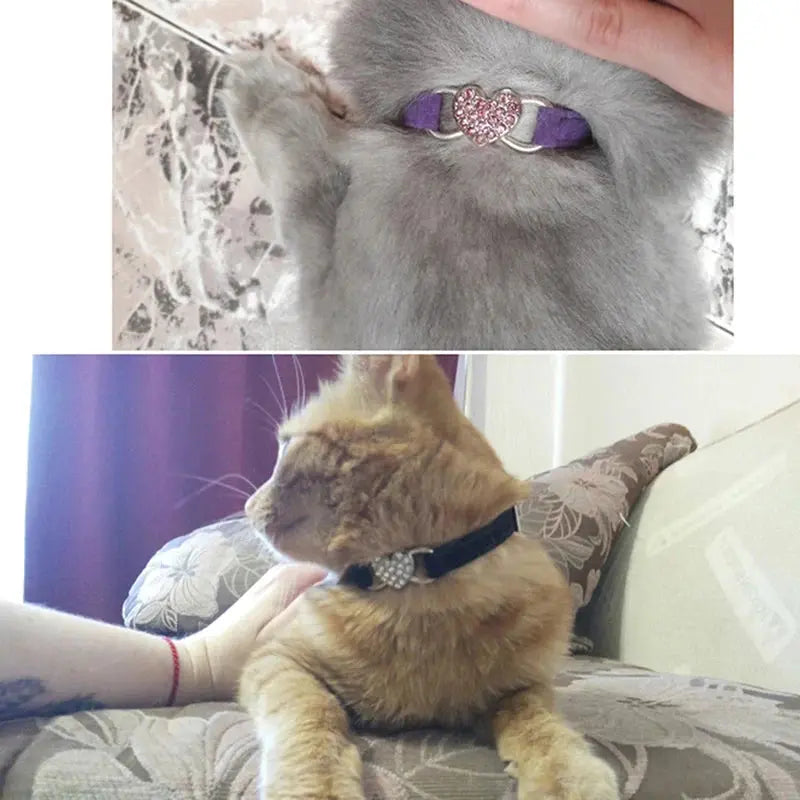 heart charm collar New Heart Charm And Bell Cat and Small Dog Collar WLP Company