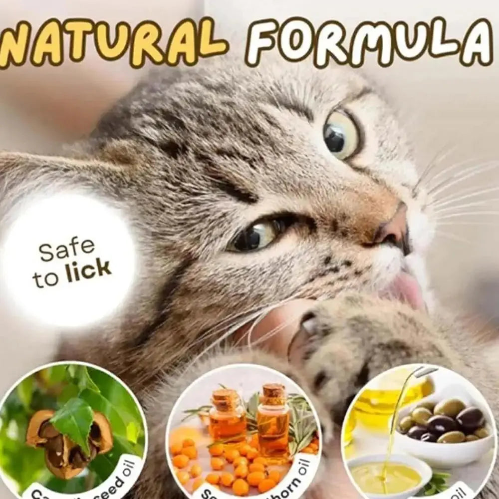 Pet Cat Snacks Freeze-dried Cats Snacks Cat Claw Snacks Cat Dog Universal Snacks Train To Get Rewarded Pet Treats Kitty Food WLP Company
