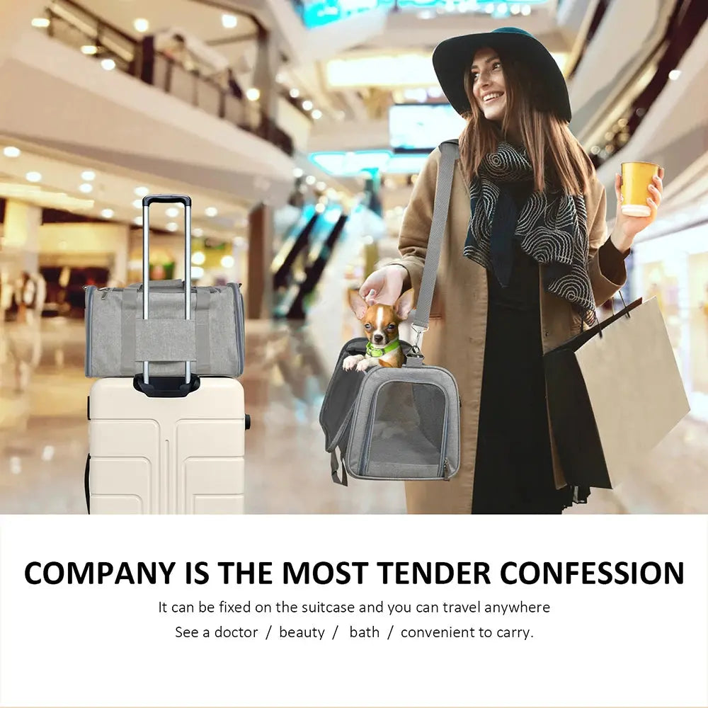 Airline Approved Dog Carrier Airline Approved Soft Side Dog Travel Carrier WLP Company
