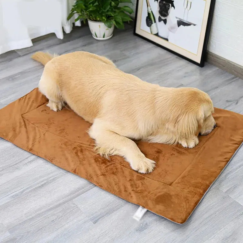 Dog Bed Self Heating Pet Pads Dog Blanket Cat Bed Puppy Pet Thermal Mat Blanket Sofa Cushion Home Winter Warm Sleeping Cover WLP Company