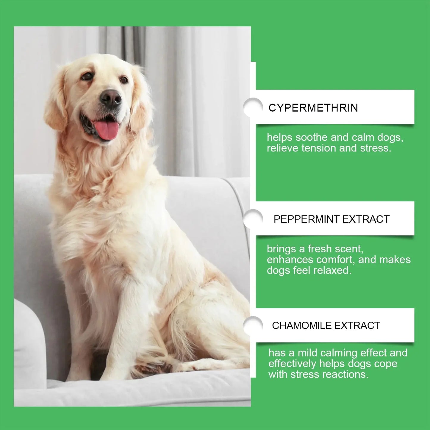 Dog Calming Diffuser Kit, Anxiety Relief For Pets With Separation Stress, Helps Reduce Fear Of Fireworks & New Environments WLP Company
