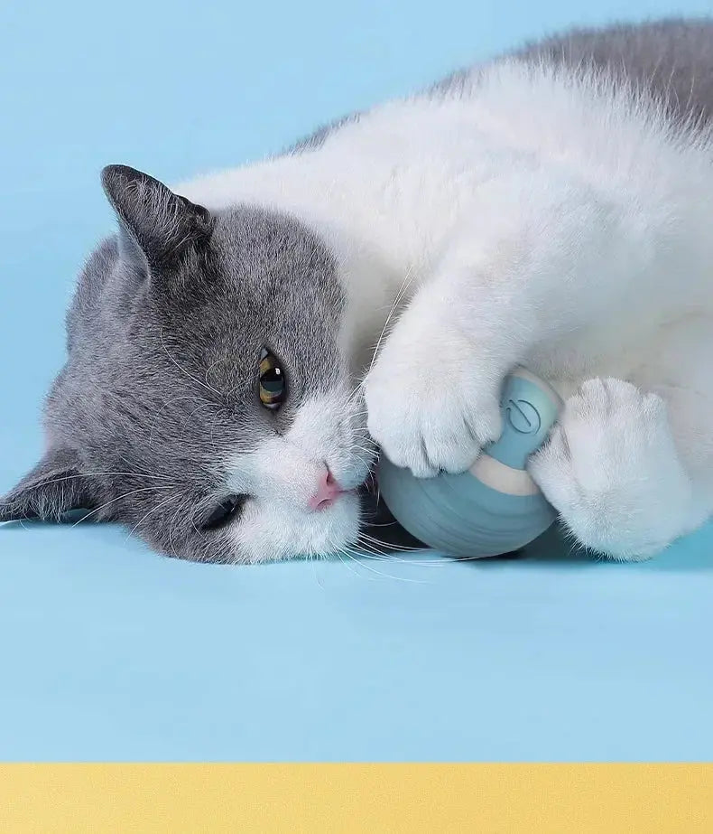 Cat Interactive Ball Smart Cat Toys for Pet Indoor WLP Company
