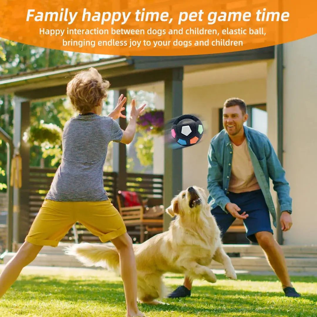 New football tennis ball shaped pet dog toys, durable teething relief to accompany outdoor training squeak toys WLP Company