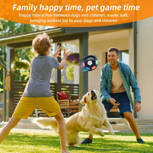 New football tennis ball shaped pet dog toys, durable teething relief to accompany outdoor training squeak toys WLP Company