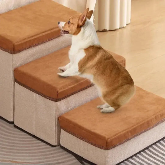 Foldable 2 in 1 Pet Steps Stair Ladder Puppy Safety Ramps Ladder 3 Layers Dog Stairs Storage Box Anti-slip Removable Pet Stairs WLP Company