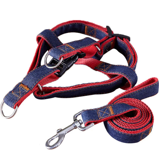 Comfort Style  Long Dog Leash