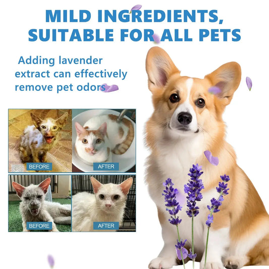 Pet Wash Free Essence Dog Body Wash Hair Softening Removing Dirts Mites Deodorizing Reduce Itching Moisturizing Puppy Shampoo WLP Company