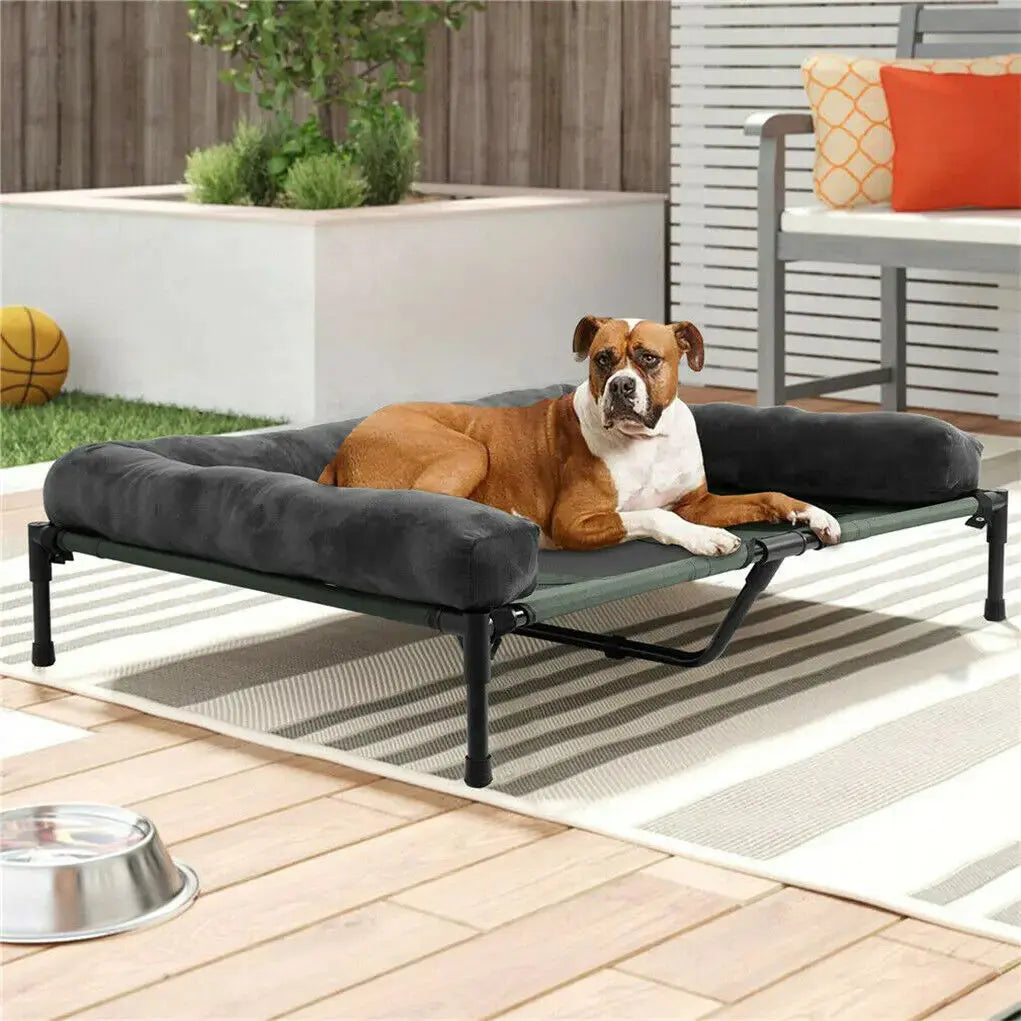 Dog Bed for Dogs and Cats Indoor Outdoor Elevated Pet Lounger Bed with Detachable Plush Bolster Cooling Summer L XL 2XL WLP Company