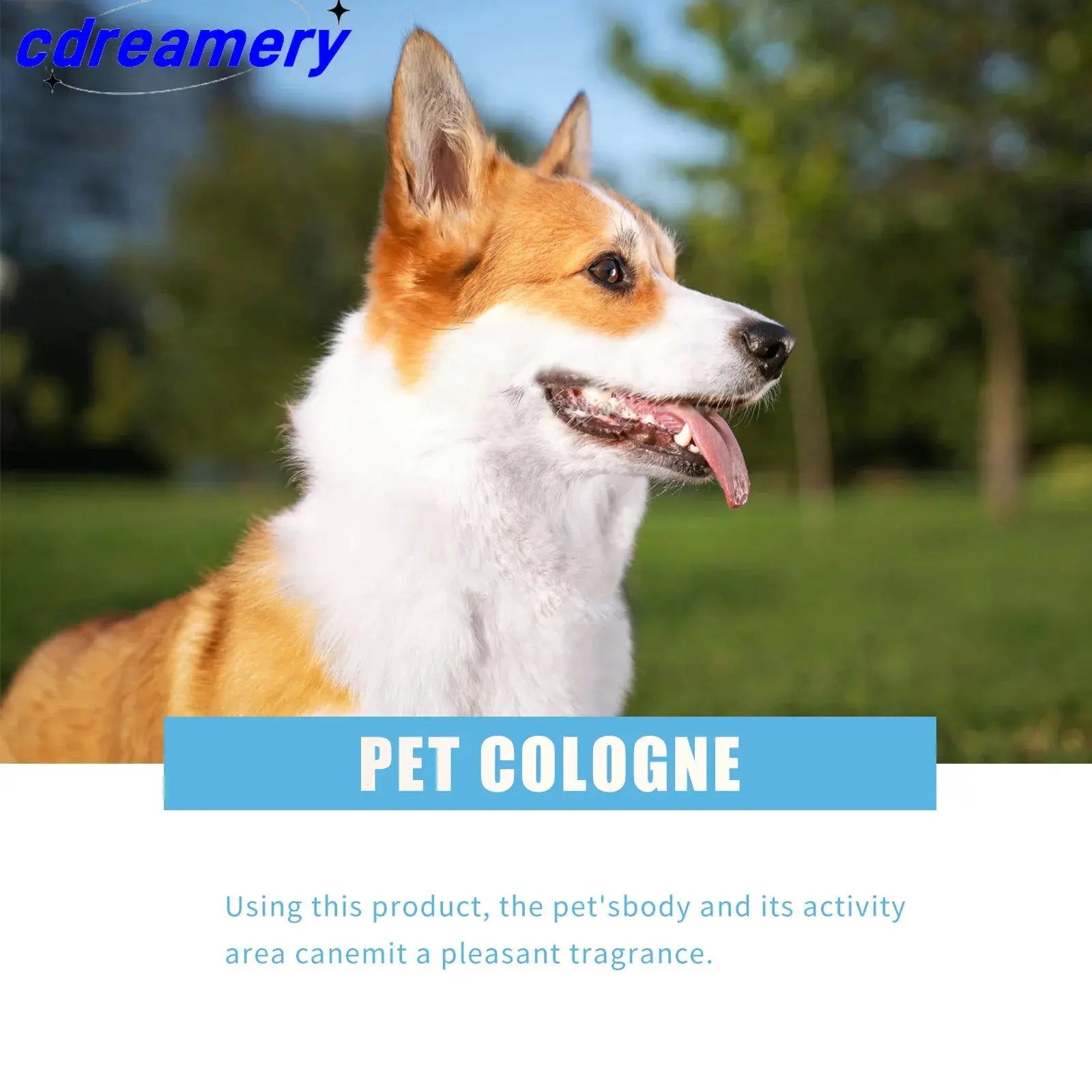 CDY 100ml Pet Perfume Spray for Cats and Dogs, Odor Eliminator and Air Freshener with Long-lasting Fragrance WLP Company