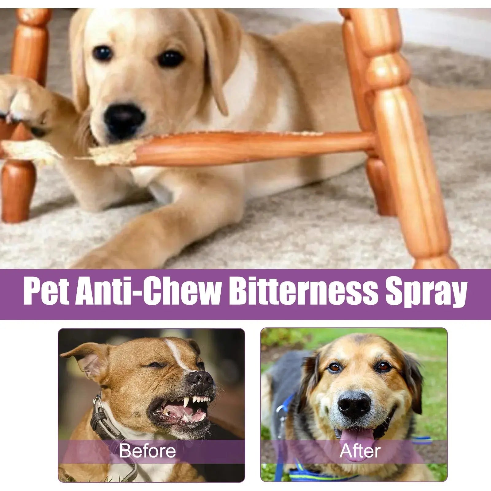 Pets Calming Spray Prevent Howling Relieve Stress Spray Manage Emotions Scratching Fighting Prevention Cat Anti-anxiety Liquid WLP Company