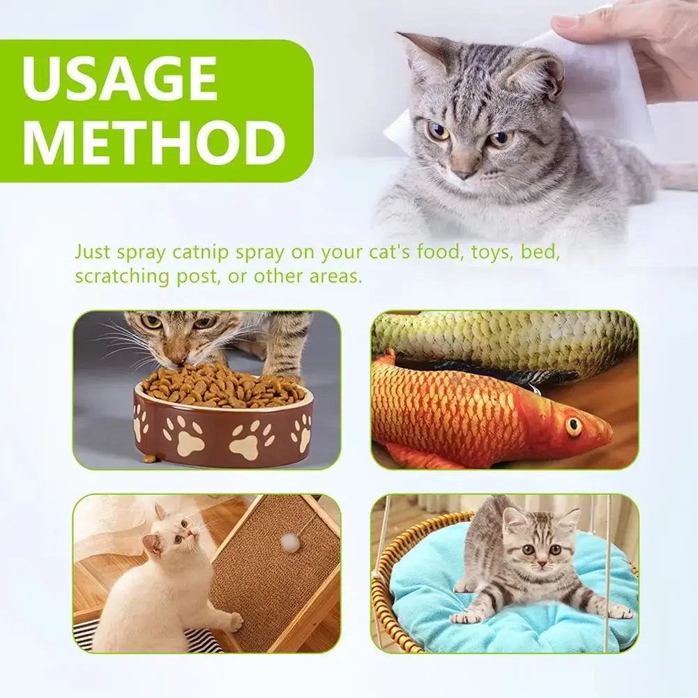 Celery Pets Catnip Spray Joy Herbal Cat Joy Insect Gall Fruit Spray Exciting Scratching Board Dropshipping WLP Company