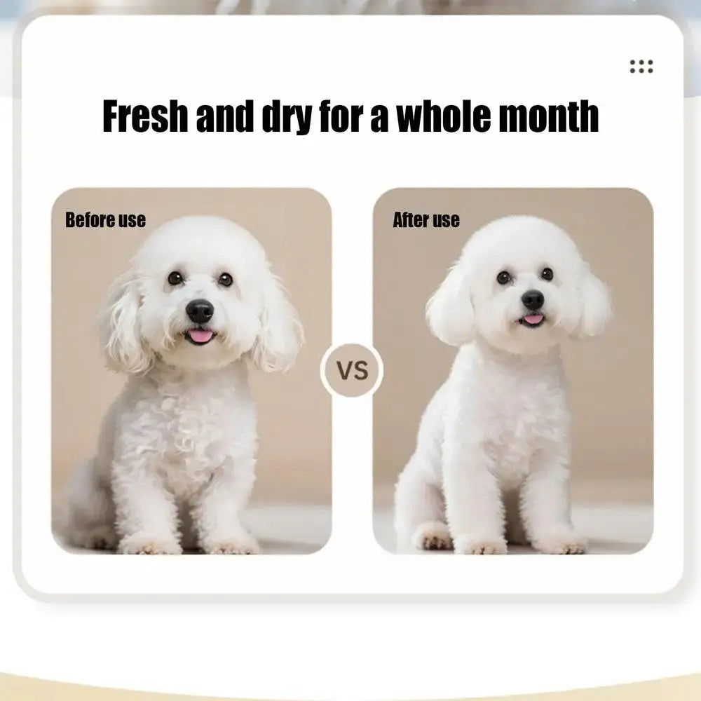Dog Shampoo 500ml Moisturizing Pet Wash For Dogs Long Lasting Puppy Grooming Odor Eliminating Body Wash Bath Supplies For Medium WLP Company