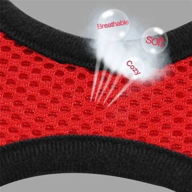 cat harness and Dog Harness Lead Leash Adjustable Vest Polyester WLP Company