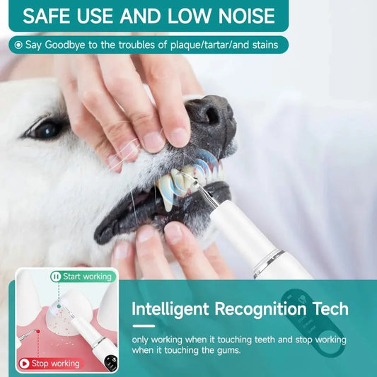 dog toothbrush Dog Tooth Calculus Device Ultrasonic Toothbrush Electric Pet Tooth Scaler Tooth Cleaning Tool Plaque Dog Cat Dental Care Kit WLP Company