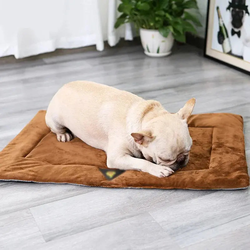 Dog Bed Self Heating Pet Pads Dog Blanket Cat Bed Puppy Pet Thermal Mat Blanket Sofa Cushion Home Winter Warm Sleeping Cover WLP Company