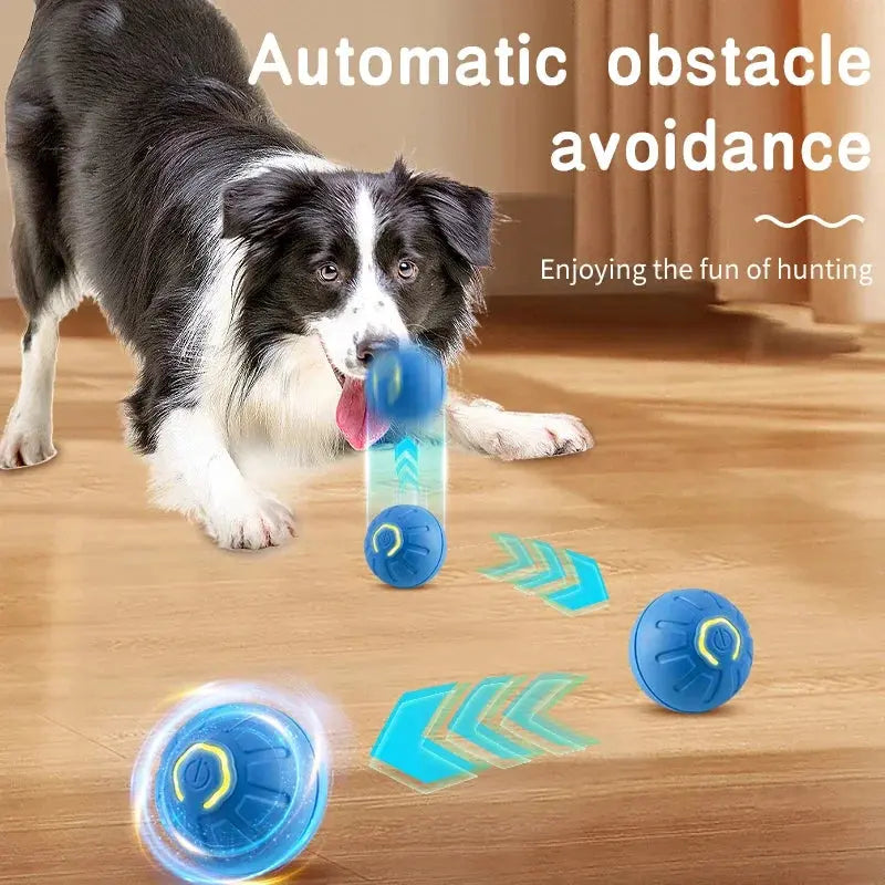 Smart Dog Toy Ball Electronic Interactive Pet Toy Moving Ball USB Automatic Moving Bouncing for Puppy Birthday Gift Cat Product WLP Company