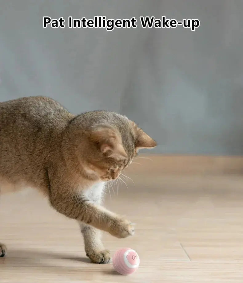 Cat Interactive Ball Smart Cat Toys for Pet Indoor WLP Company
