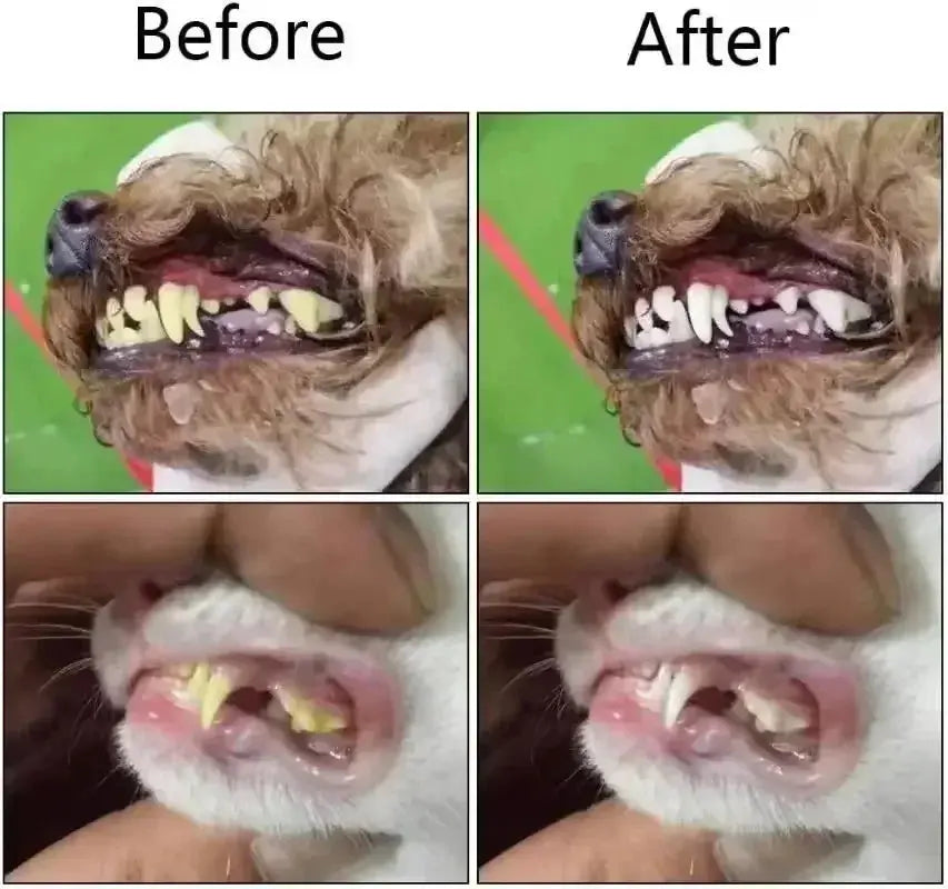 Pet Toothbrush Super Soft Pet Finger Toothbrush Teddy Dog Brush Bad Breath Tartar Teeth Care Tool Dog Cat Cleaning Silicagel Pet Supplies WLP Company