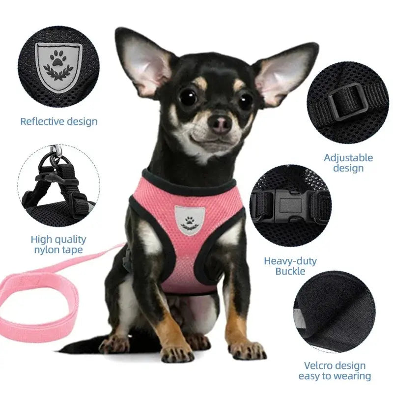 cat harness and Dog Harness Lead Leash Adjustable Vest Polyester WLP Company