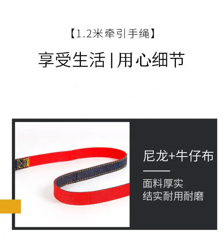 Comfort Style Long Dog Leash WLP Company