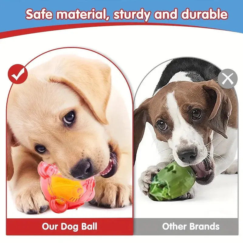 Pet Dog Chew Toy Cute Bear Head Resistant Bite Puppy Toys with Tennies Teeth Cleaning Sound Dog Toy Large Small Dog Squeaky Toy WLP Company