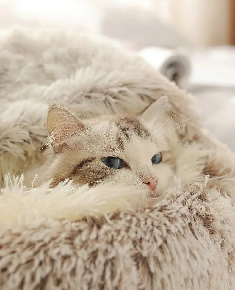 Autumn and Winter soft plush pet bed WLP Company
