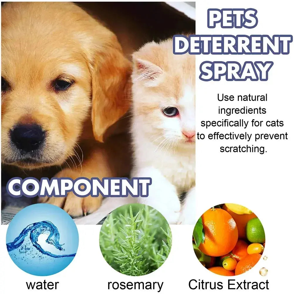 Cat Scratch Deterrent Spray Natural Scratching Training Aid Spray No Stimulation Orange Fragrance Sofa Furniture Protectors WLP Company