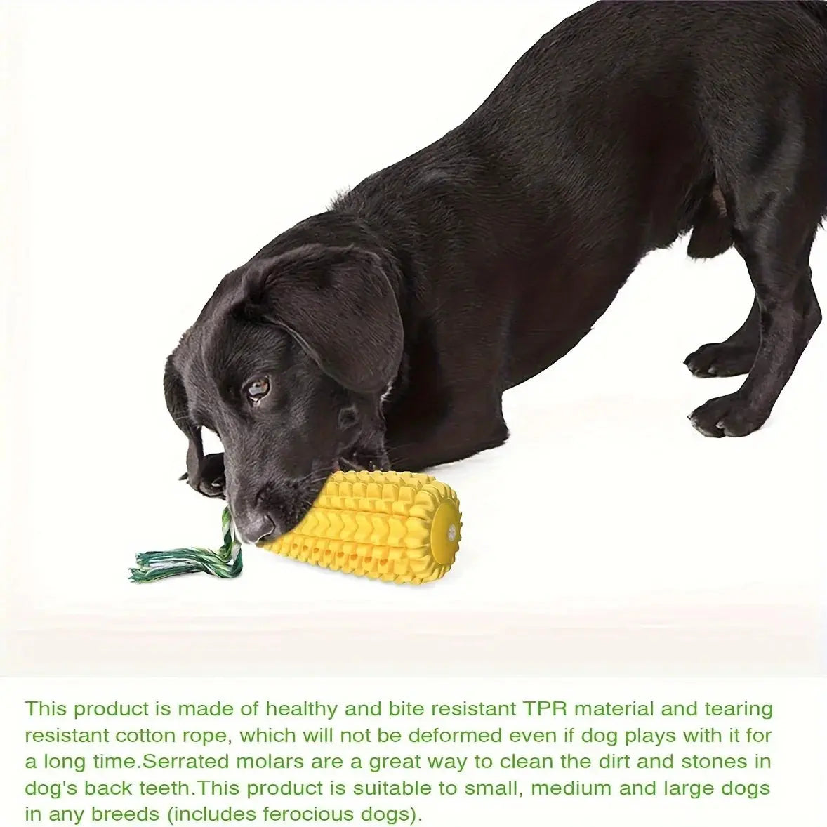 Dog Chew Toys for Aggressive Chewers, Teeth Cleaning Chew Toy,Corn Shape Interactive Dog Dental Toys for Medium Large Puppy Dogs WLP Company