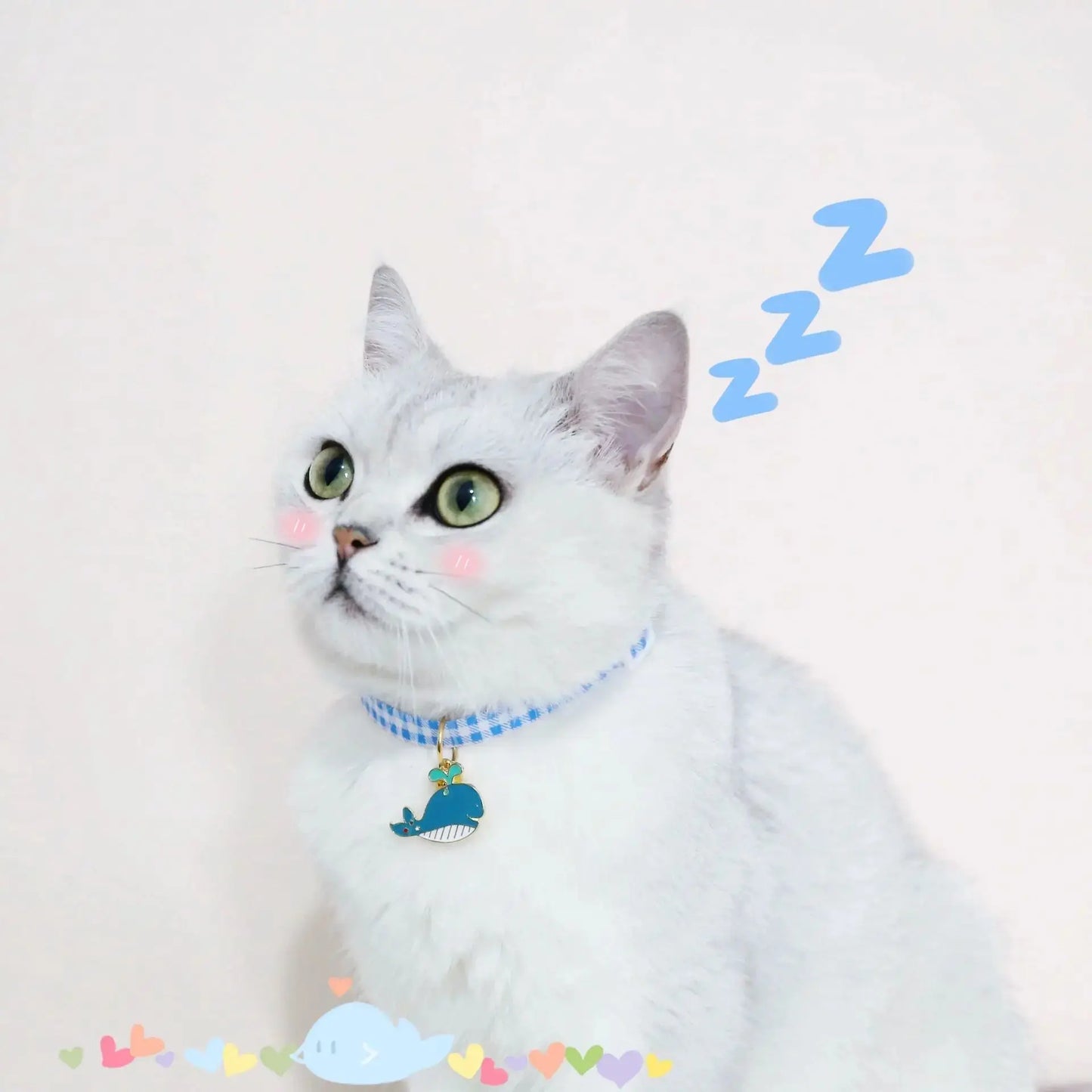 Pet Safety Necklace WLP Company
