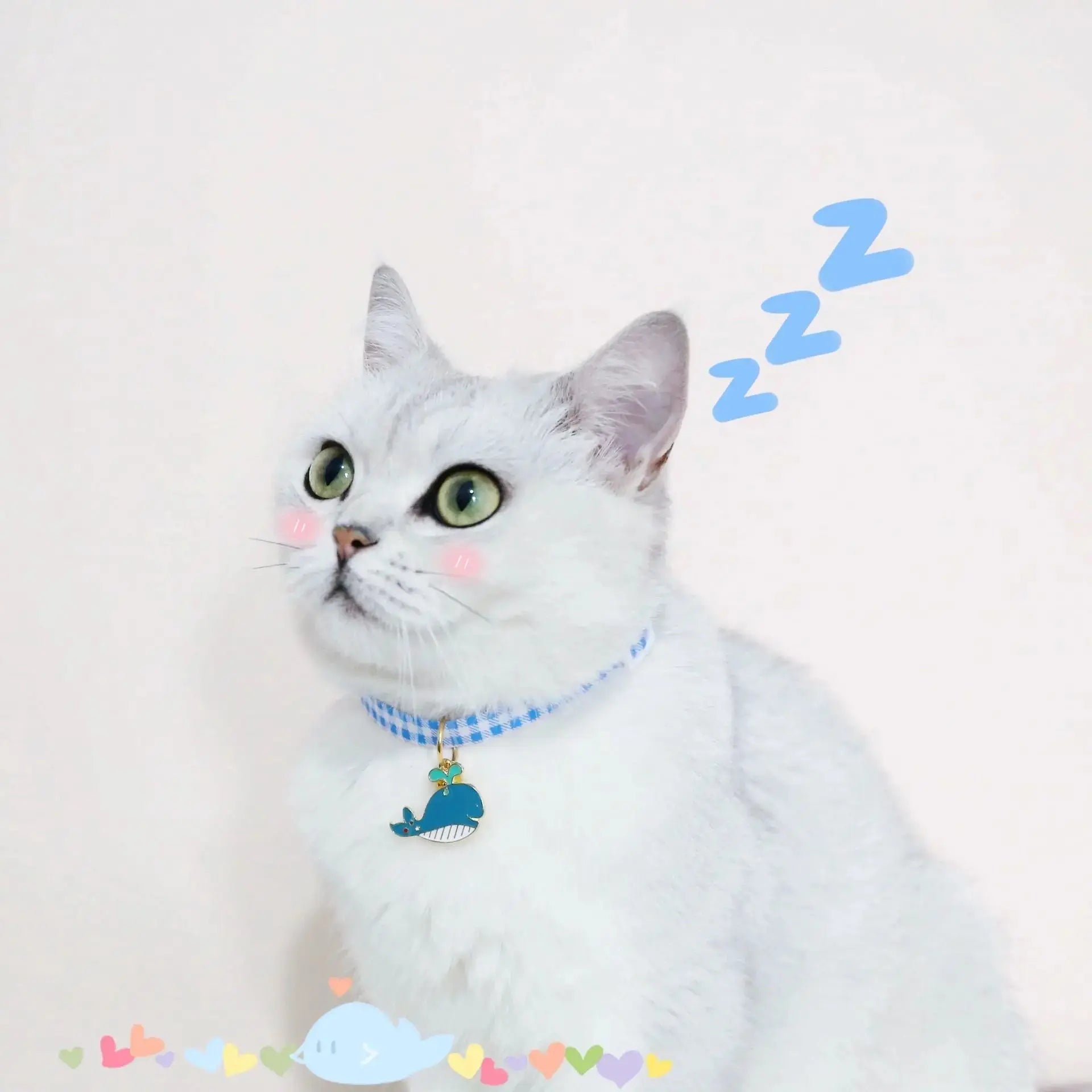 Pet Safety Necklace WLP Company