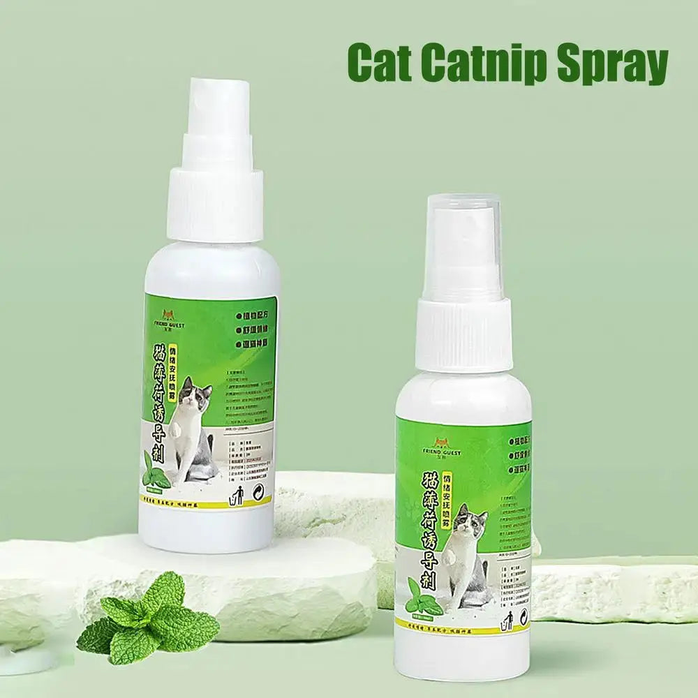 50ml Natural Catnip Cat Spray Cat Calming Mint Spray Happy Water Cat Herb Inducer Pet Accessories For Kittens Cats WLP Company