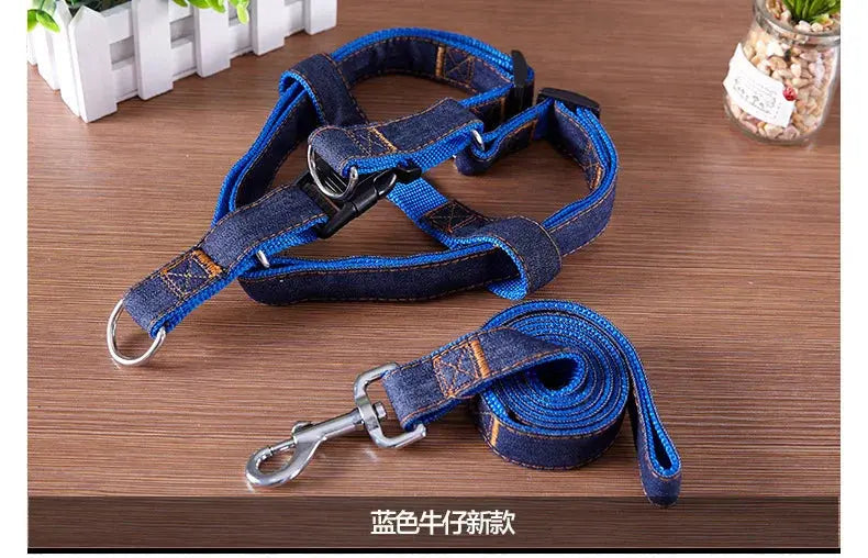 Comfort Style Long Dog Leash WLP Company