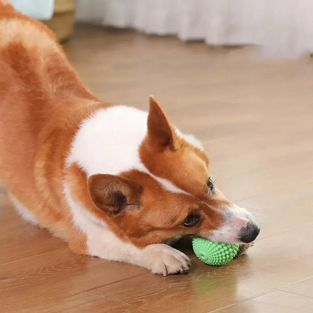 Pet Chew Toy Squeaky Corn Ball, Durable Dog Chewing Ball for Teeth Grinding & Cleaning, Puppy Boredom Relief Pet Supplies WLP Company