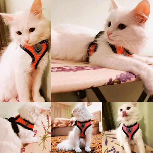 Cat and Dog Harness Lead Leash Adjustable Vest Polyester