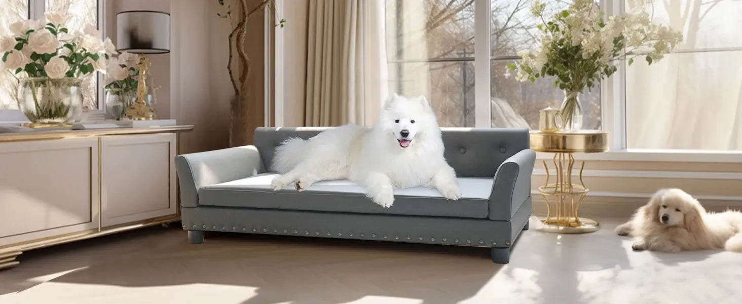 elevated dog bed Pet Bed for Medium and Large Dogs, Durable Elevated Dog Sofa Bed, Comfortable Dog Couch, Modern Dog Sofa WLP Company