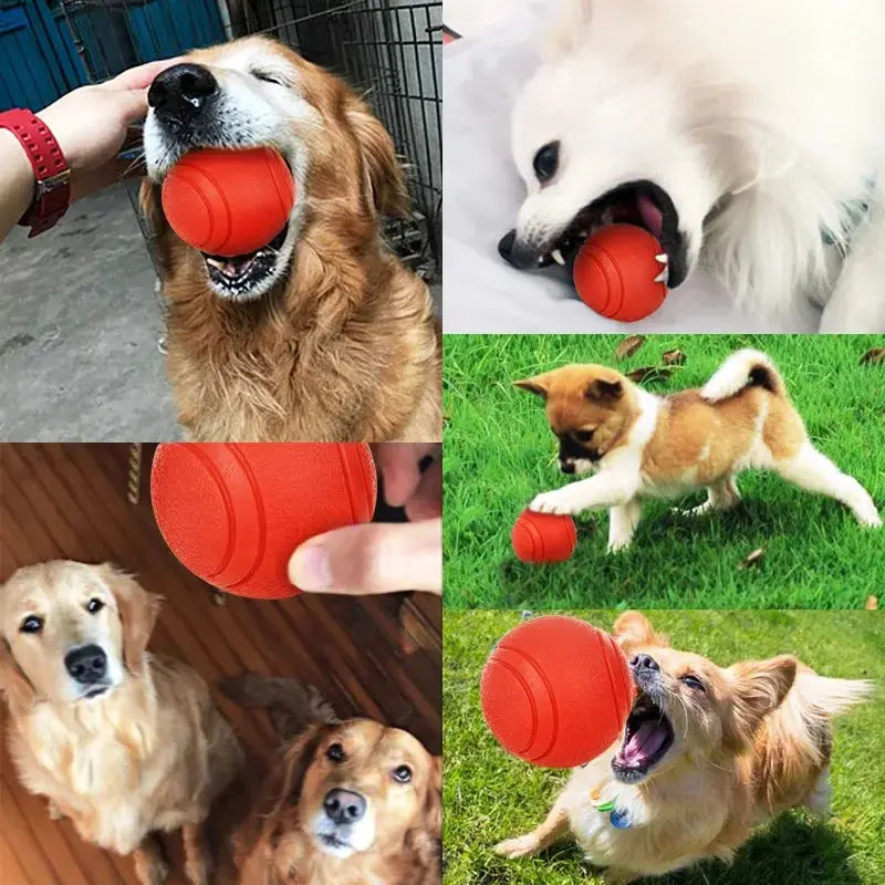dog toy HOOPET Dog Bite-resistant Rubber Toy Ball - Ultimate Durability & Fun WLP Company