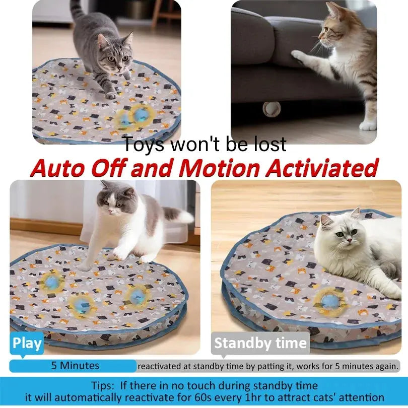 Smart Interactive Cat Toys Ball Fast Rolling in Pouch Hide and Seek Kitten Toy Motion Activated Interactive Cat Toy for Indoor WLP Company